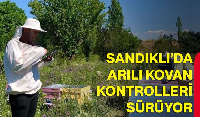 Sandıklı’da arılı kovan kontrolleri sürüyor