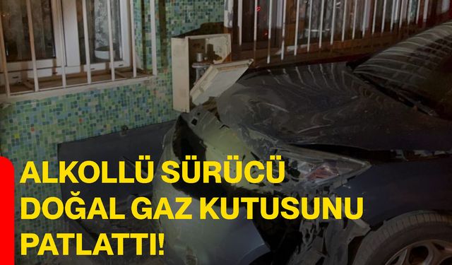 Alkollü sürücü doğal gaz kutusunu patlattı!