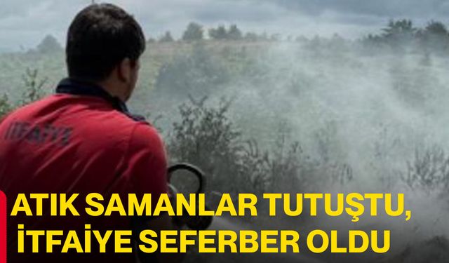 Atık samanlar tutuştu, itfaiye seferber oldu