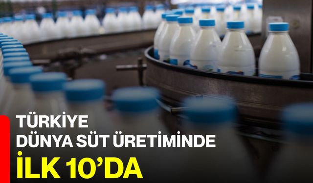 Türkiye Dünya Süt Üretiminde İlk 10’da