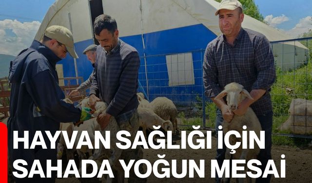 Hayvan Sağlığı için sahada yoğun mesai