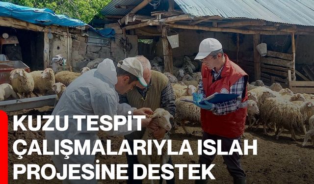 Kuzu tespit çalışmalarıyla ıslah projesine destek