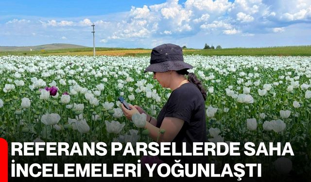 Referans parsellerde saha incelemeleri yoğunlaştı