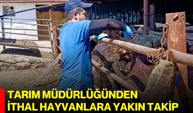 Tarım Müdürlüğünden ithal hayvanlara yakın takip