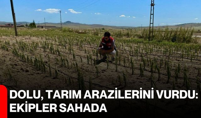 Dolu, tarım arazilerini vurdu: Ekipler sahada