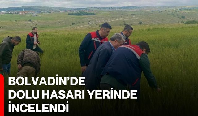 Bolvadin’de dolu hasarı yerinde incelendi
