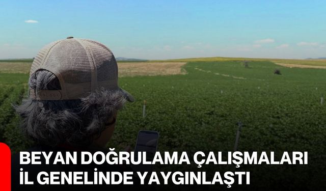 Beyan doğrulama çalışmaları il genelinde yaygınlaştı