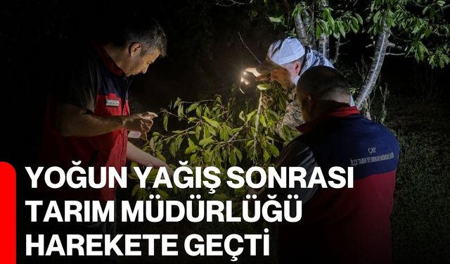 Yoğun yağış sonrası Tarım Müdürlüğü harekete geçti