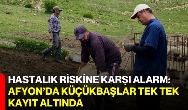 Hastalık riskine karşı alarm: Afyon’da küçükbaşlar tek tek kayıt altında