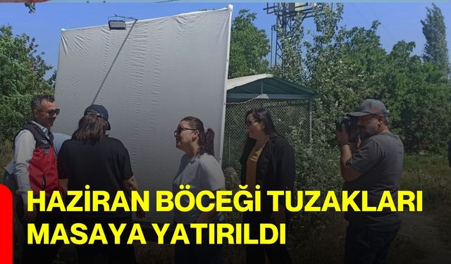 Haziran böceği tuzakları masaya yatırıldı