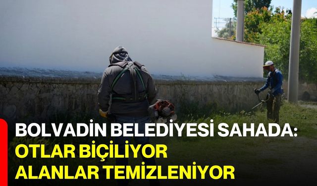 Bolvadin Belediyesi sahada: Otlar biçiliyor, alanlar temizleniyor