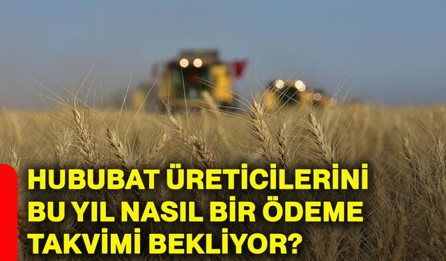 Hububat üreticilerini bu yıl nasıl bir ödeme takvimi bekliyor?