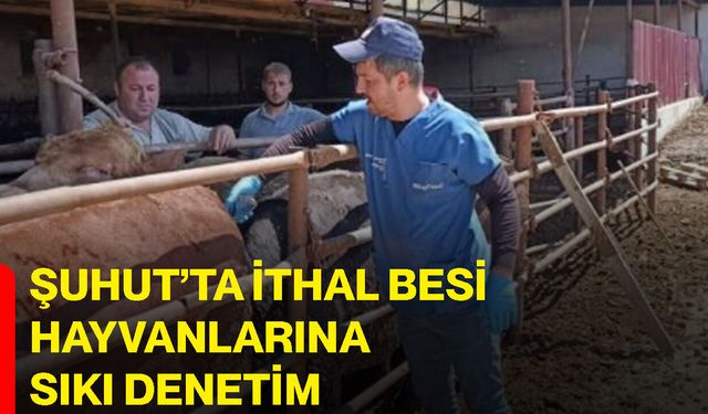Şuhut’ta ithal besi hayvanlarına sıkı denetim