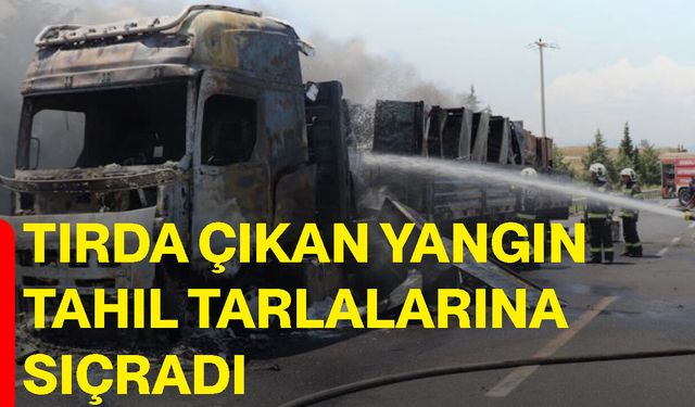 Tırda çıkan yangın tahıl tarlalarına sıçradı
