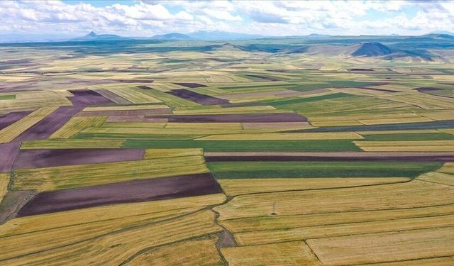 AFYONKARAHİSAR KADASTRO MÜDÜRLÜĞÜNDEN İLAN