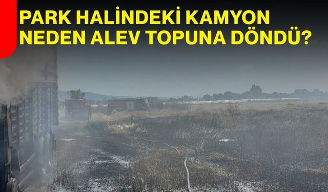 Park halindeki kamyon neden alev topuna döndü?
