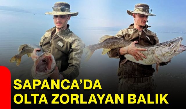 Sapanca’da olta zorlayan balık