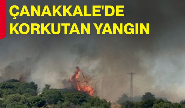 Çanakkale'de korkutan yangın