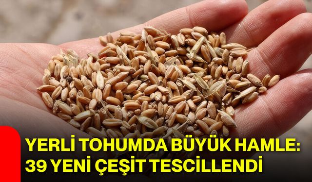 Yerli tohumda büyük hamle: 39 yeni çeşit tescillendi