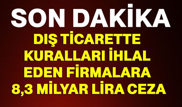 Dış Ticarette kuralları ihlal eden firmalara 8,3 milyar lira ceza