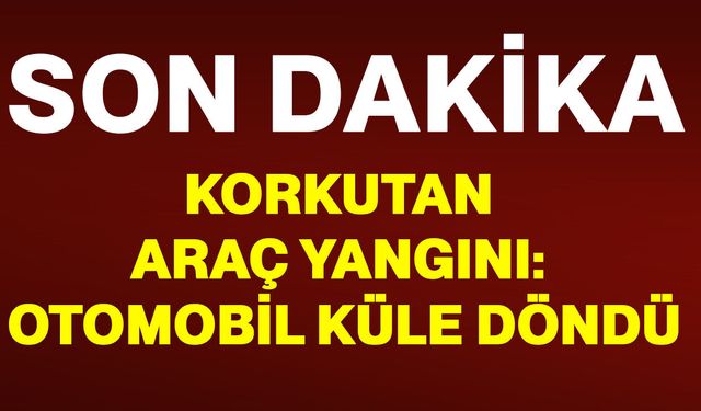 Menteşe'de korkutan araç yangını: Otomobil küle döndü
