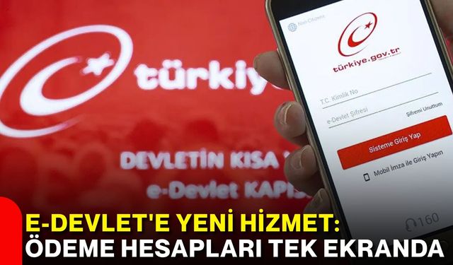 e-Devlet'e yeni hizmet: Ödeme hesapları tek ekranda