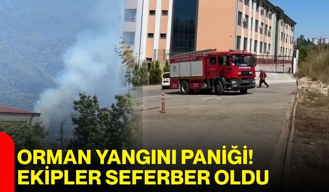 Orman yangını paniği! Ekipler seferber oldu