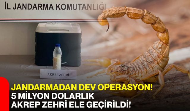 Jandarmadan dev operasyon! 5 milyon dolarlık akrep zehri ele geçirildi!