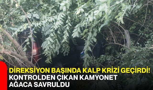 Direksiyon başında kalp krizi geçirdi! Kontrolden çıkan kamyonet ağaca savruldu
