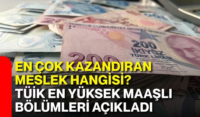 En çok kazandıran meslek hangisi? TÜİK en yüksek maaşlı bölümleri açıkladı