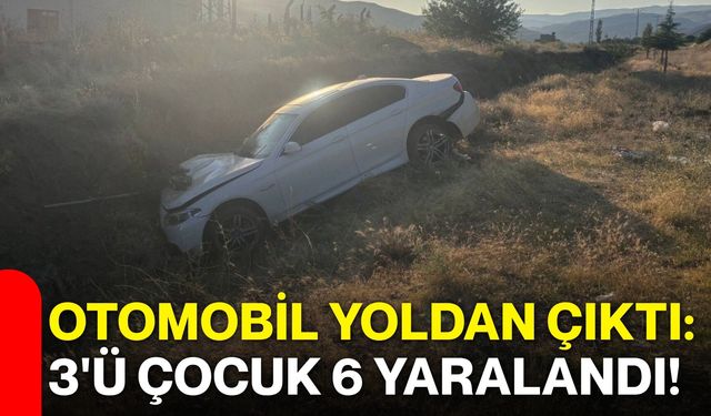 Otomobil yoldan çıktı: 3'ü çocuk 6 yaralandı!
