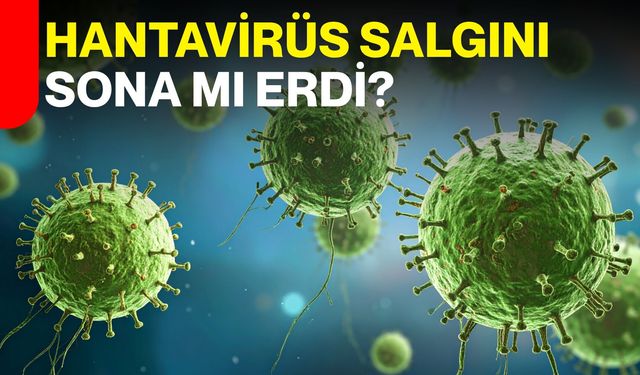 Hantavirüs salgını sona mı erdi?