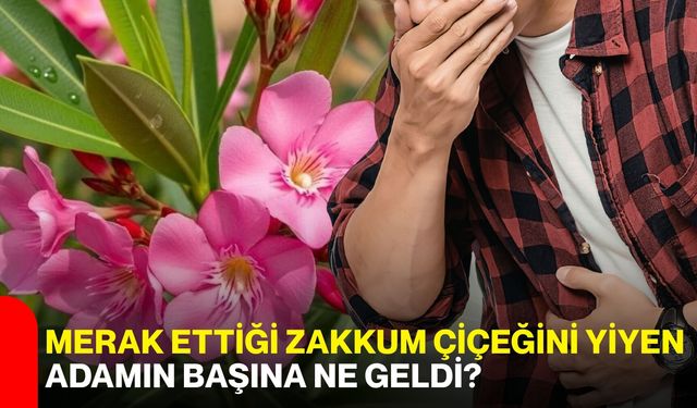 Merak ettiği zakkum çiçeğini yiyen adamın başına ne geldi?