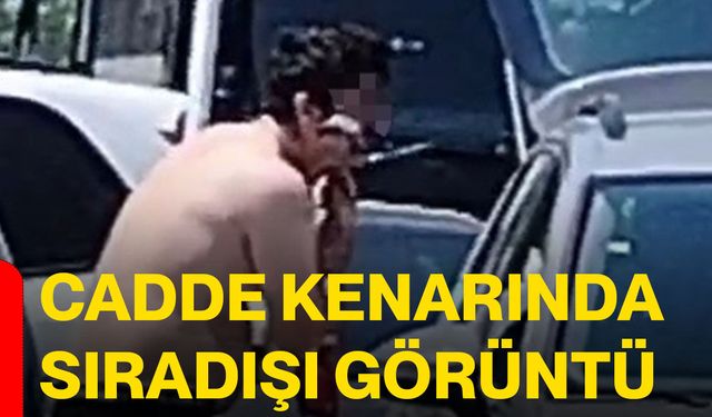 Cadde kenarında sıradışı görüntü