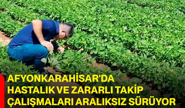 Afyonkarahisar'da hastalık ve zararlı takip çalışmaları aralıksız sürüyor