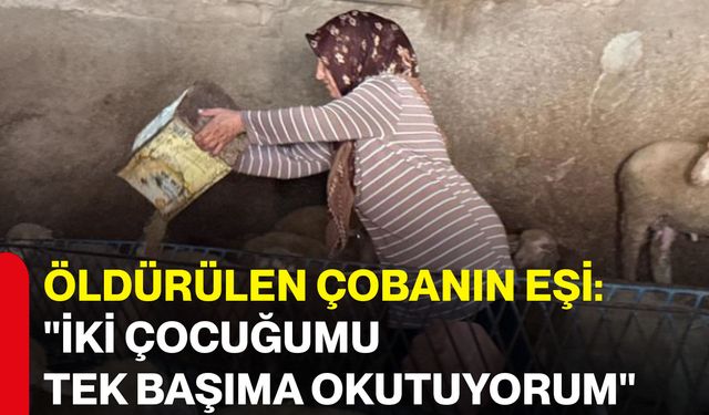 Öldürülen çobanın eşi: "İki çocuğumu tek başıma okutuyorum"
