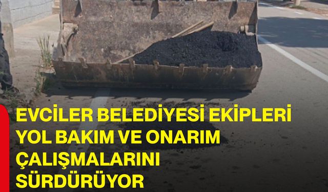 Evciler Belediyesi ekipleri yol bakım ve onarım çalışmalarını sürdürüyor