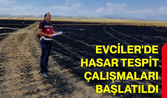 Evciler'de hasar tespit çalışmaları başlatıldı