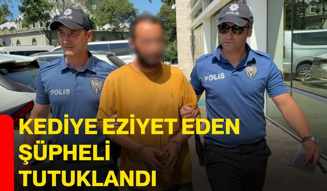 Kediye eziyet eden şüpheli tutuklandı