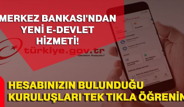 Merkez Bankası'ndan yeni e-Devlet hizmeti!