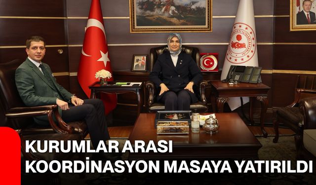 Kurumlar arası koordinasyon masaya yatırıldı