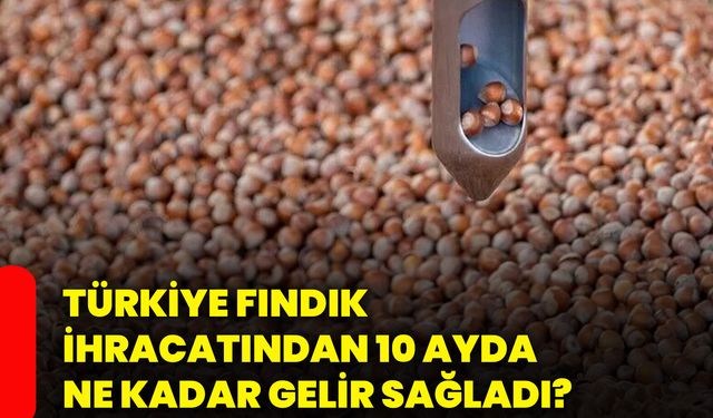 Türkiye fındık ihracatından 10 ayda ne kadar gelir sağladı?