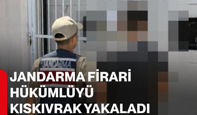 Jandarma firari hükümlüyü kıskıvrak yakaladı