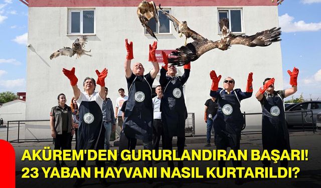 AKÜREM'den gururlandıran başarı! 23 yaban hayvanı nasıl kurtarıldı?