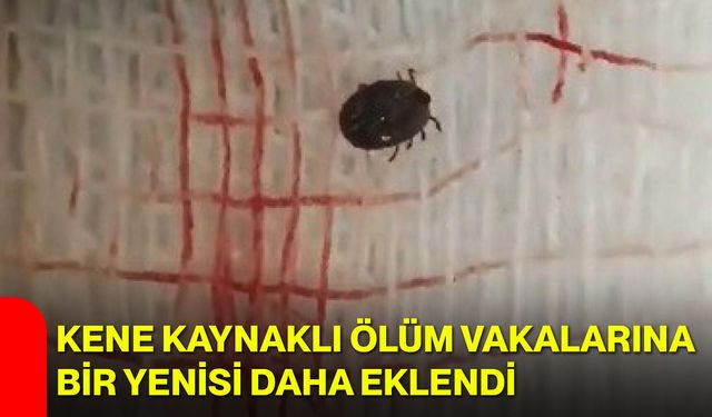 Kene kaynaklı ölüm vakalarına bir yenisi daha eklendi