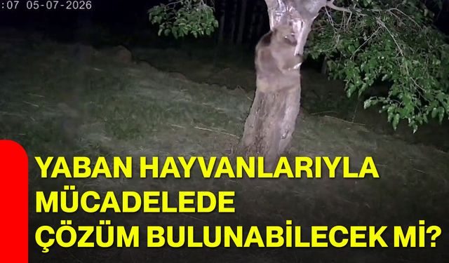 Yaban hayvanlarıyla mücadelede çözüm bulunabilecek mi?