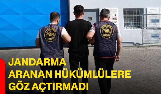 Jandarma aranan hükümlülere göz açtırmadı