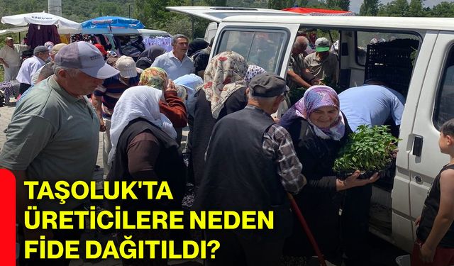 Taşoluk'ta üreticilere neden fide dağıtıldı?