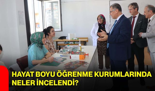 Hayat boyu öğrenme kurumlarında neler incelendi?