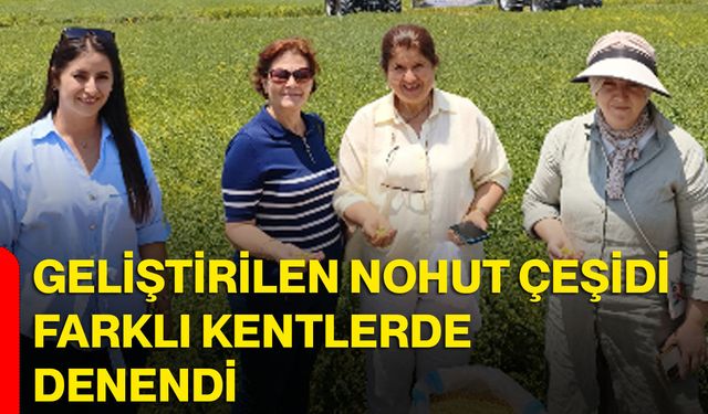 Geliştirilen nohut çeşidi farklı kentlerde denendi